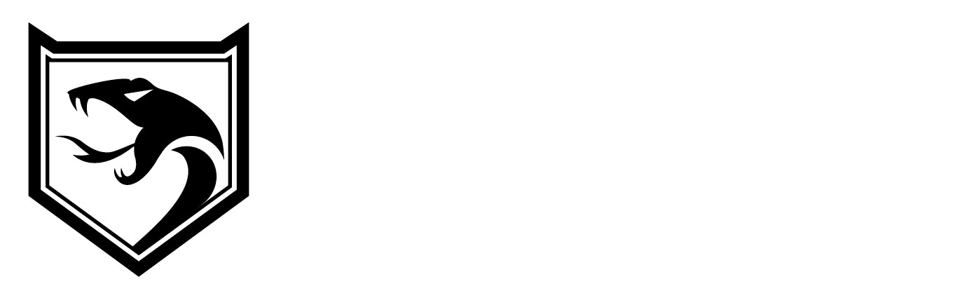 Mamba Turbo